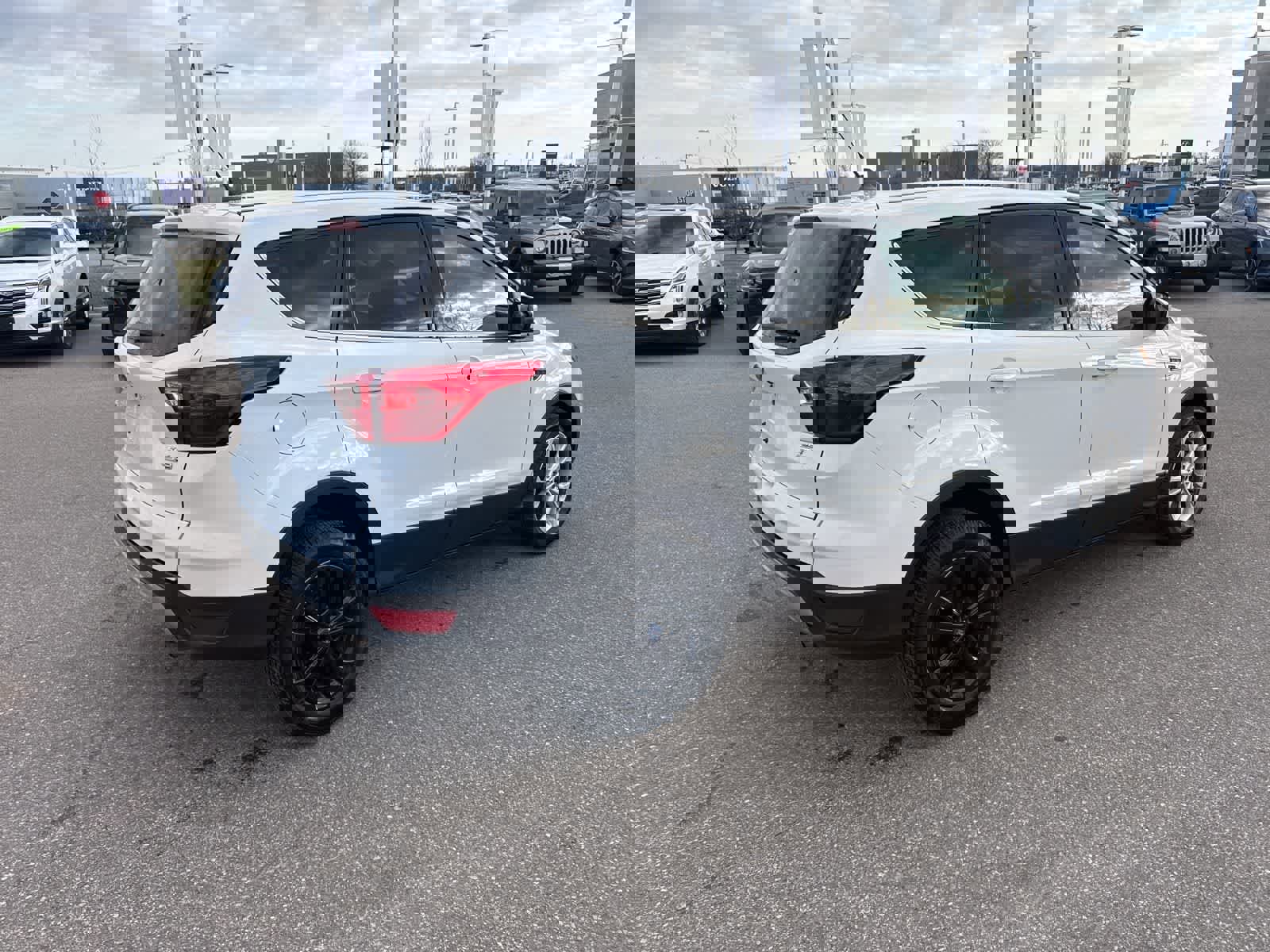 Used 2019 Ford Escape SE image 5