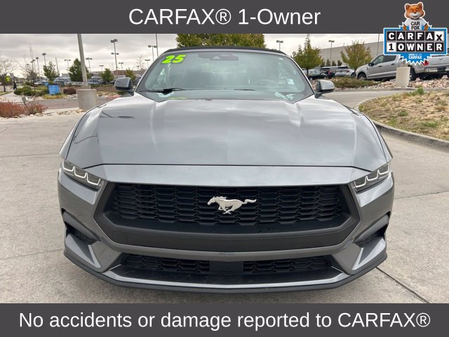 Used 2025 Ford Mustang Premium RWD image 2