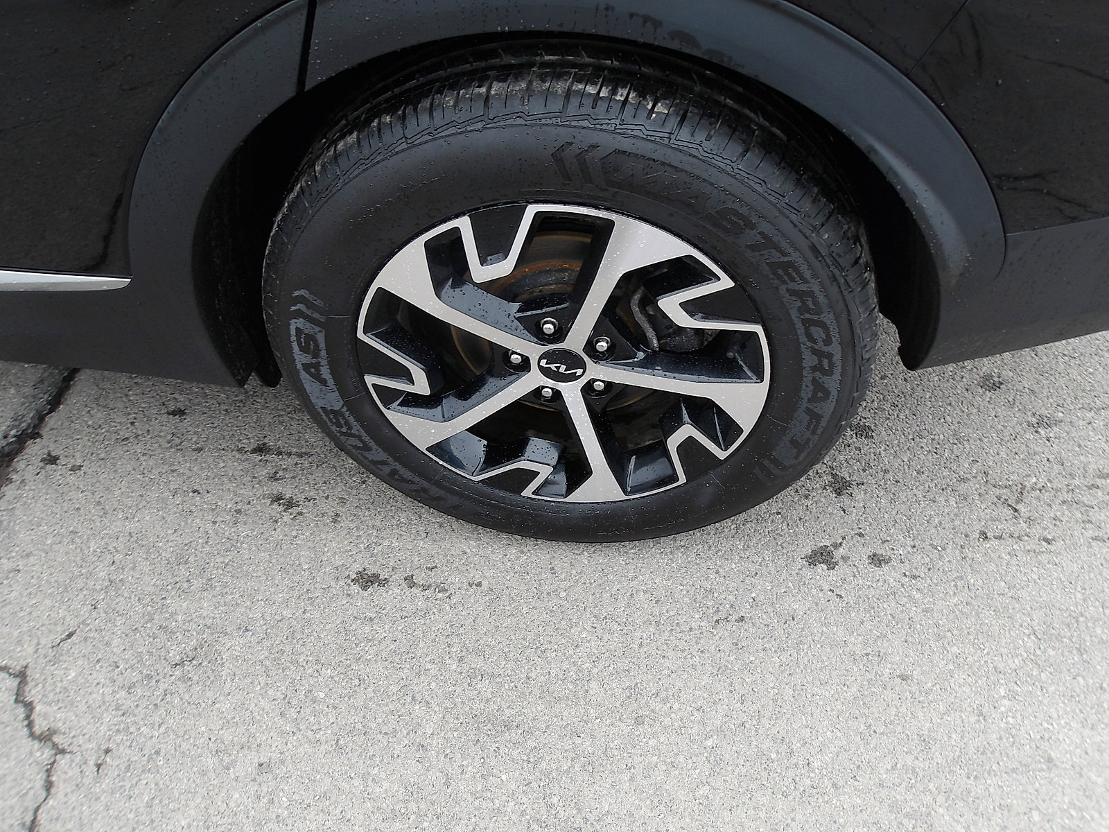 Used 2023 Kia Sportage EX FWD image 23