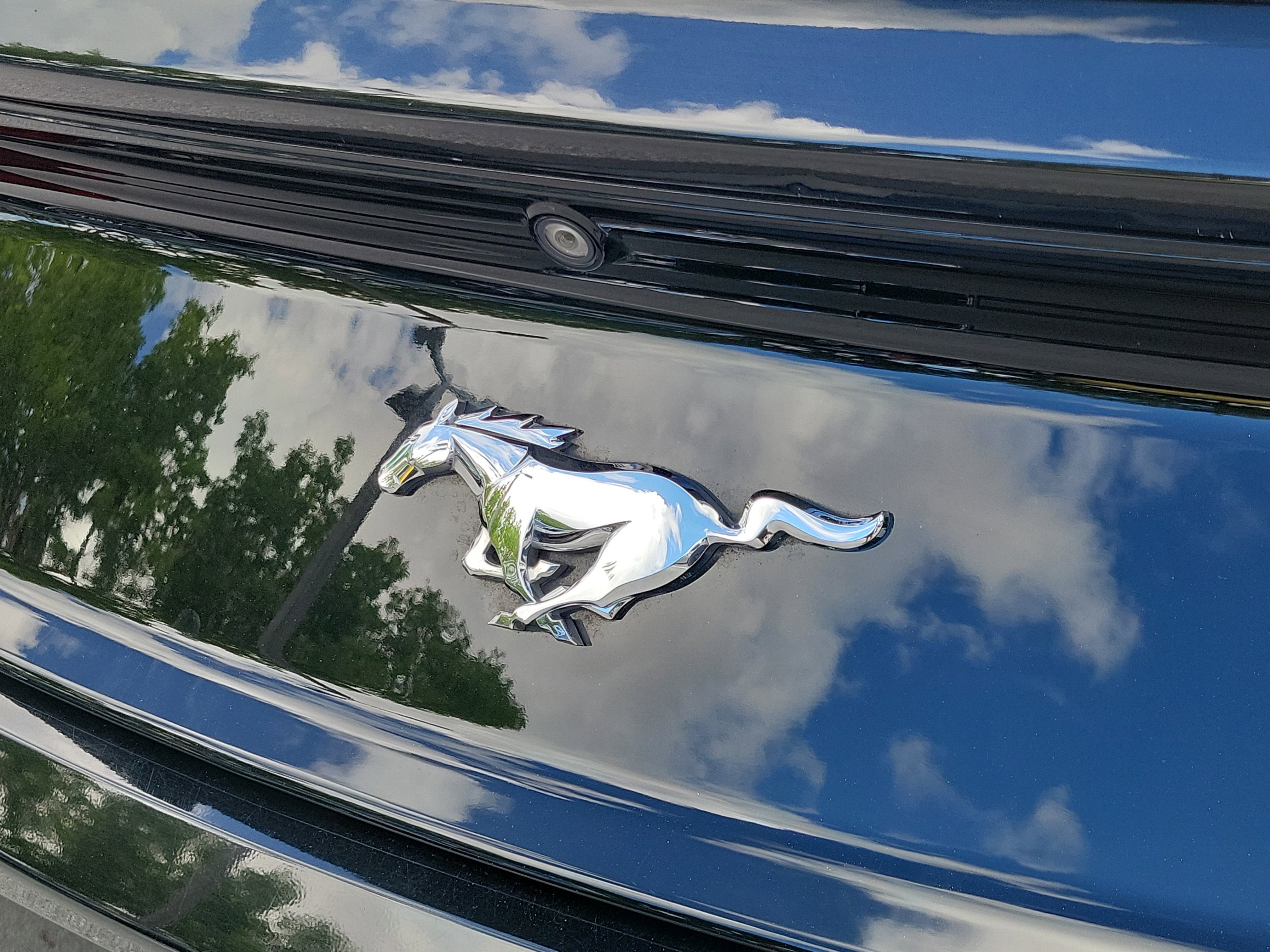 Used 2016 Ford Mustang Premium RWD image 5