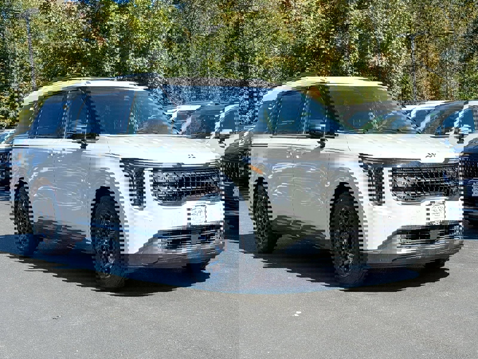 New 2026 Kia Carnival SX Prestige image 1