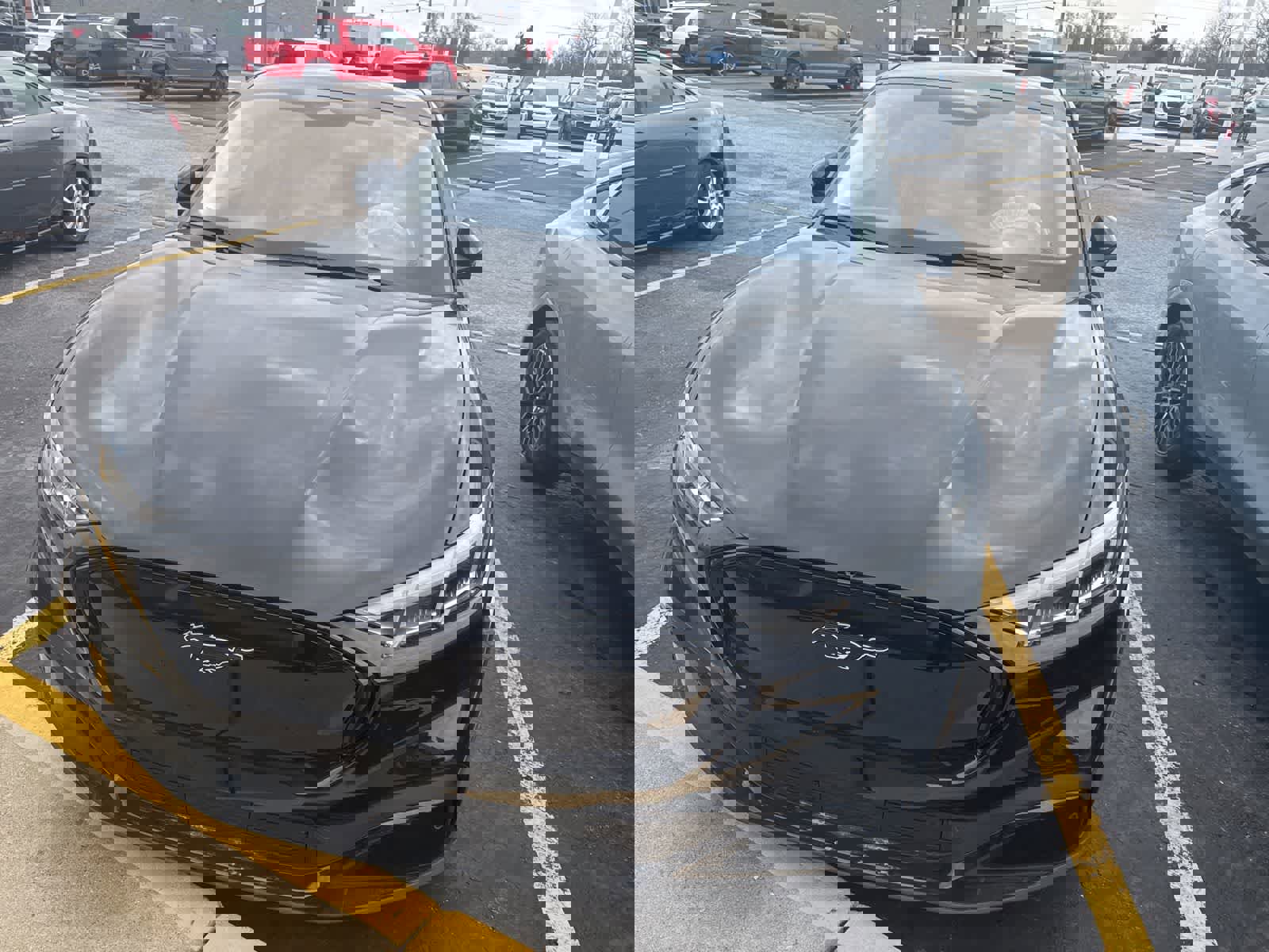 New 2026 Ford Mustang Mach-E Premium image 13