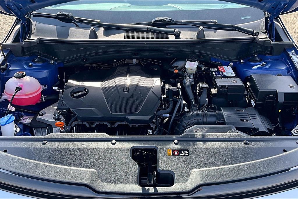 Used 2024 Kia Sportage X-Line image 10