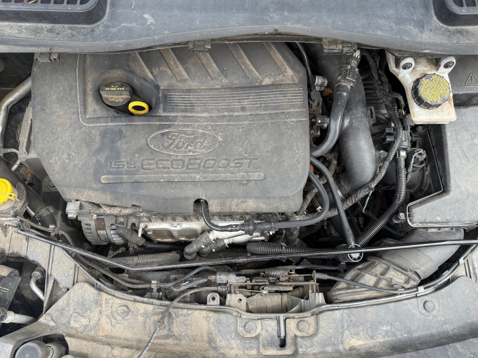 Used 2019 Ford Escape SE AWD/4WD image 21