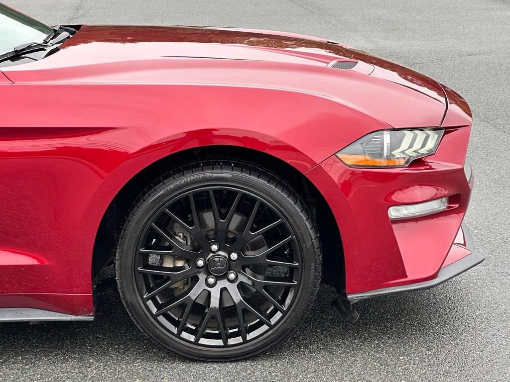 Used 2019 Ford Mustang Premium w/ Equipment Group 201A RWD image 35
