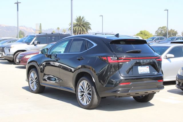 Certified 2025 Lexus NX 350h AWD w/ Cold Area Package image 18