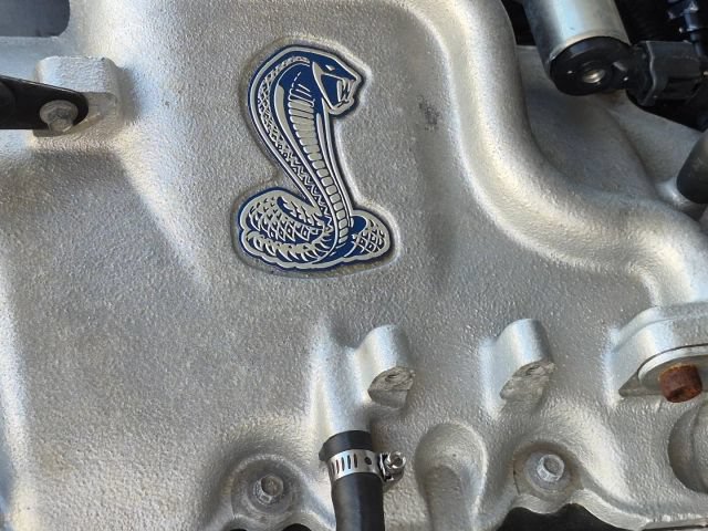 Used 2001 Ford Mustang Cobra RWD image 33