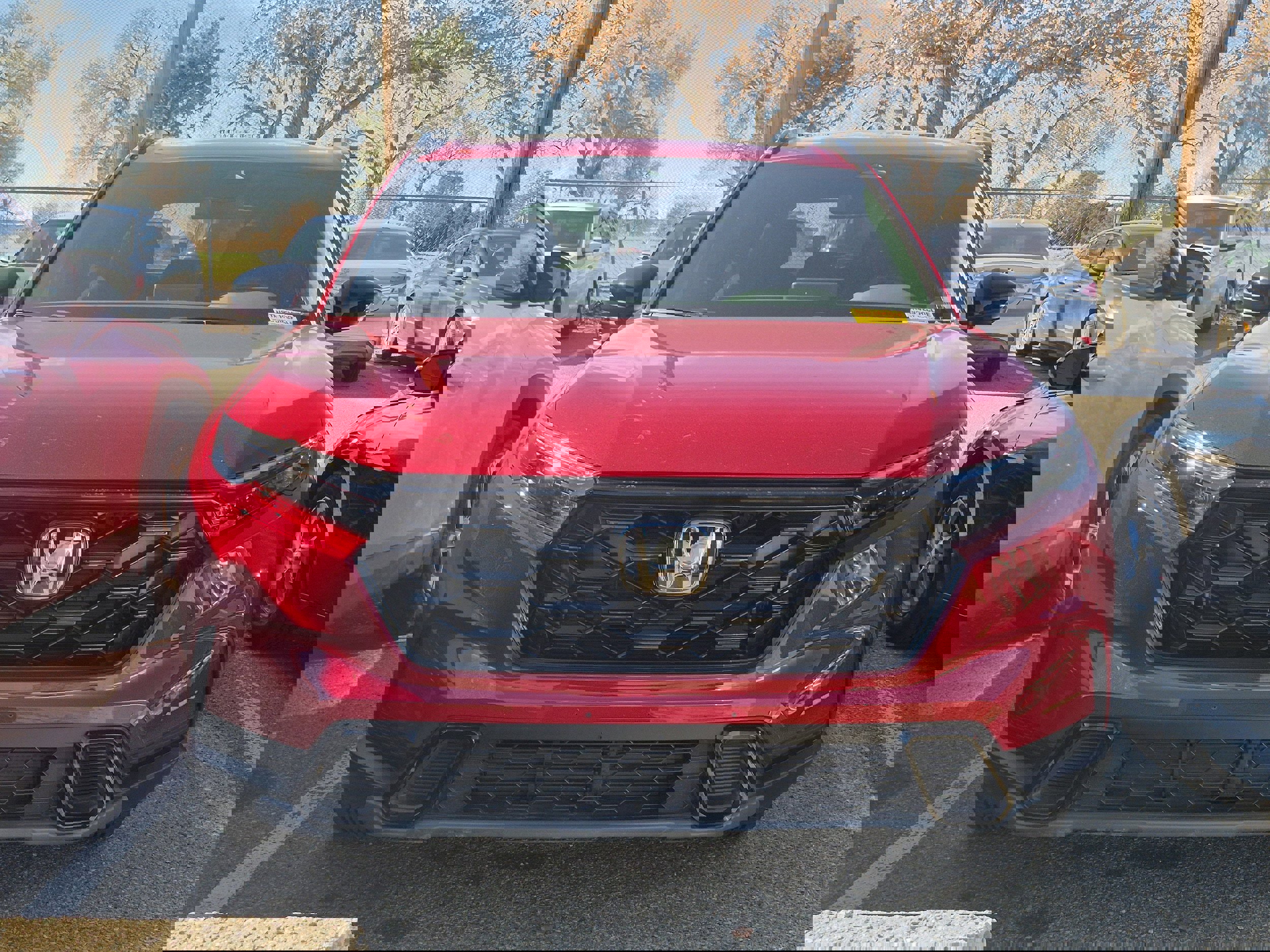 Used 2025 Honda CR-V Sport image 13