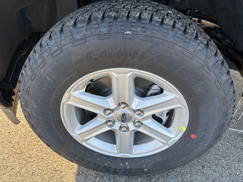 New 2026 Ford F150 XLT w/ Tow/Haul Package image 12