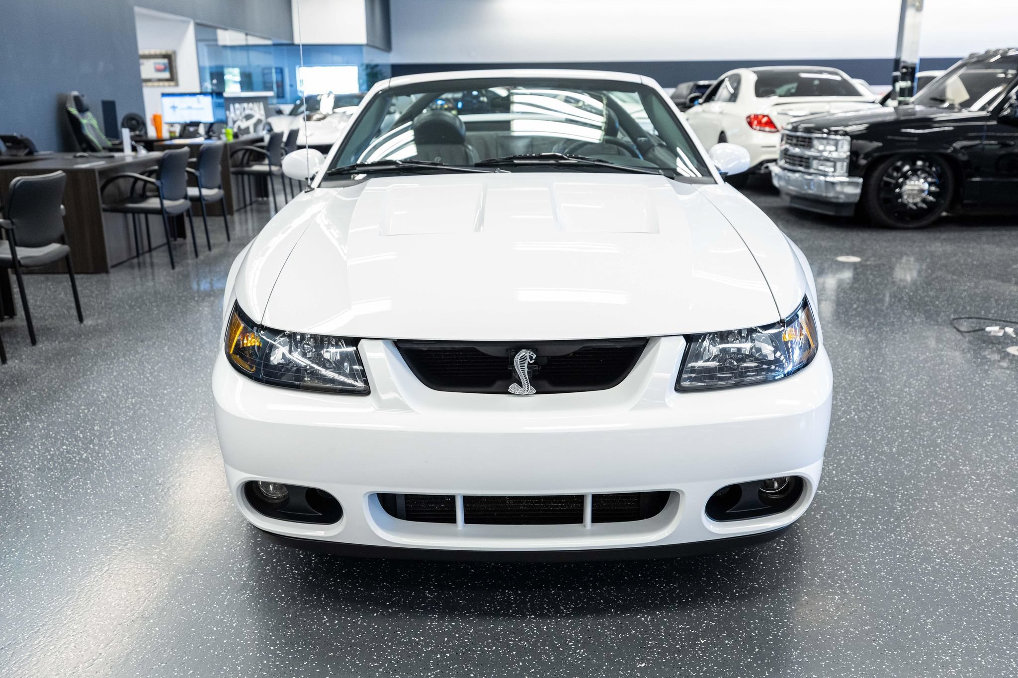 Used 2004 Ford Mustang Cobra RWD image 2