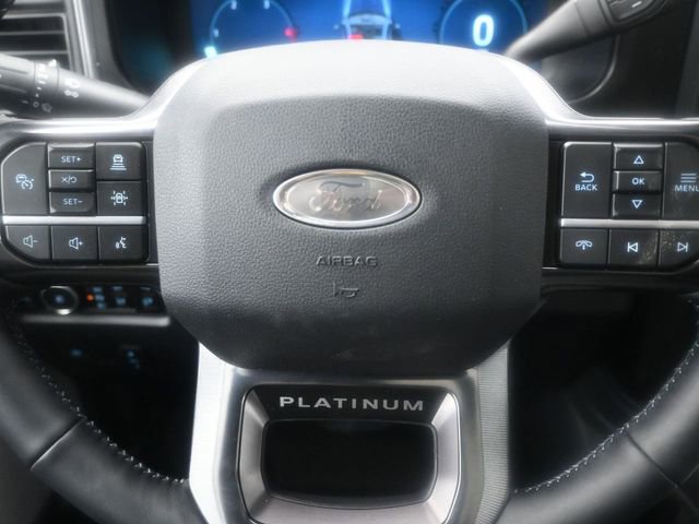 New 2026 Ford F250 Platinum w/ Tremor Off-Road Package image 18
