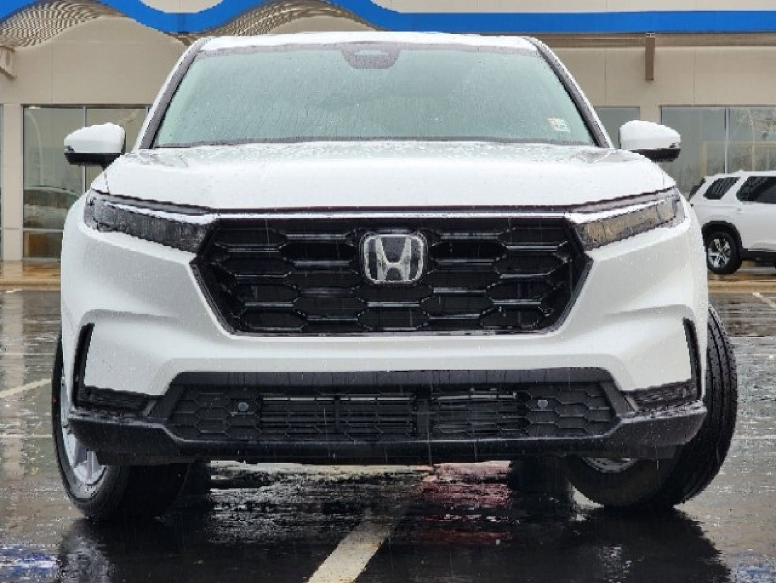 Used 2023 Honda CR-V EX-L image 5