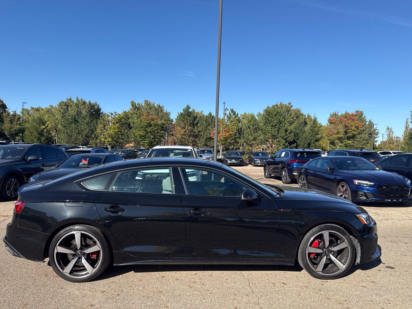 Used 2023 Audi A5 2.0T Premium Plus AWD/4WD image 5