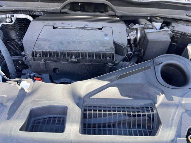 Used 2024 Honda Pilot EX-L image 7