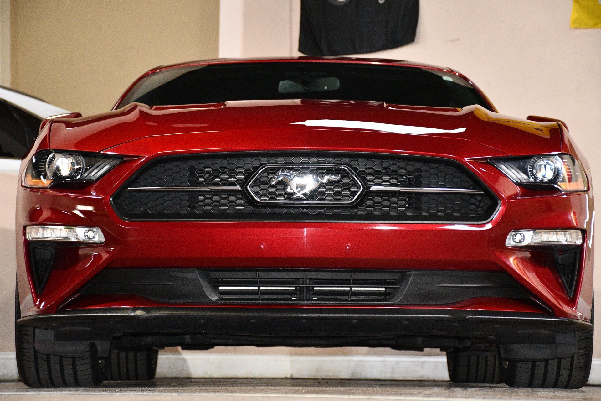 Used 2018 Ford Mustang Premium w/ Equipment Group 201A RWD image 81