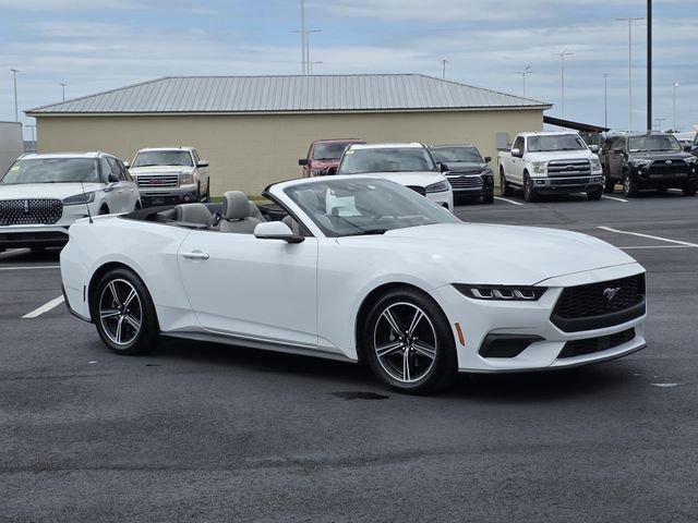 Used 2024 Ford Mustang Premium RWD image 2