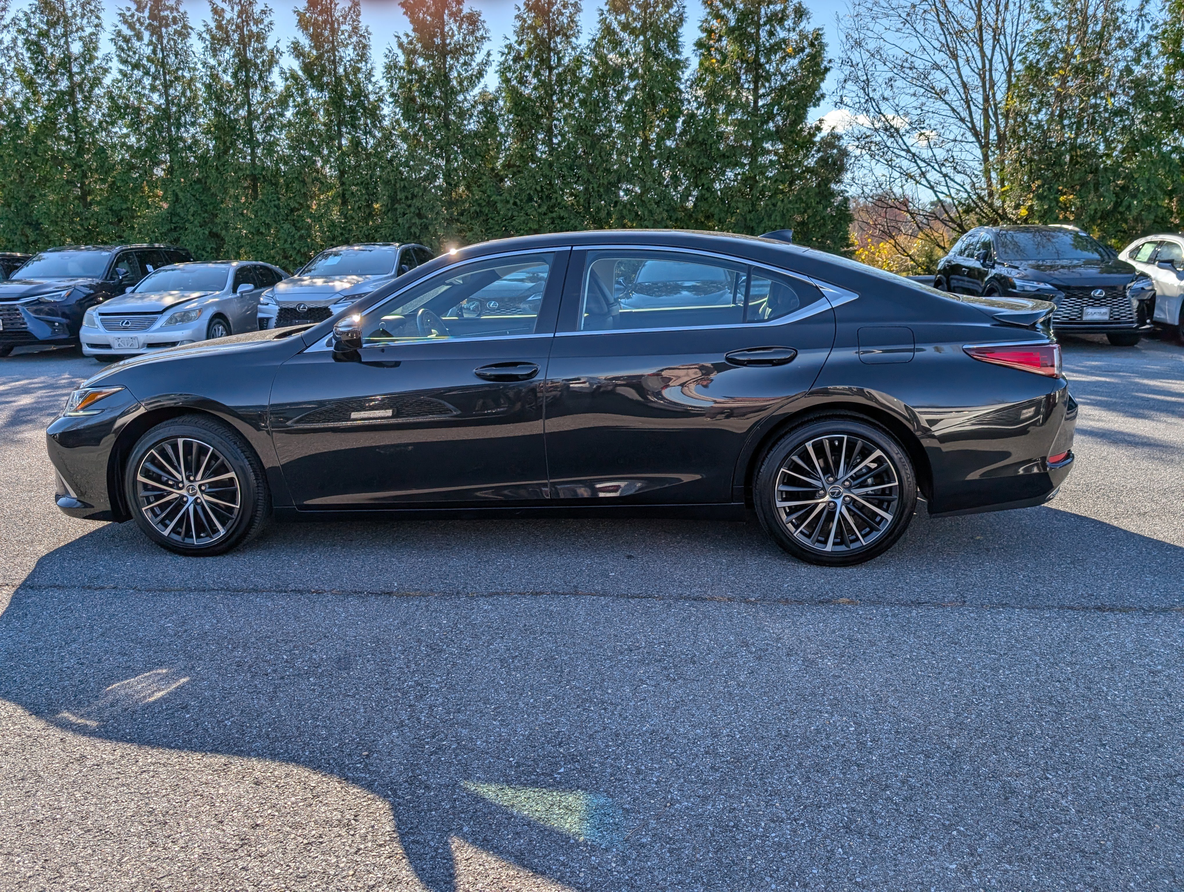 Certified 2024 Lexus ES 350 w/ Premium Package image 6