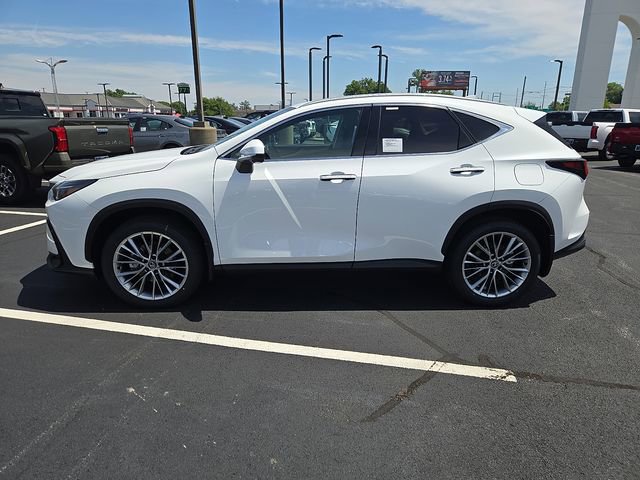 New 2026 Lexus NX 350 AWD w/ Premium Package image 6