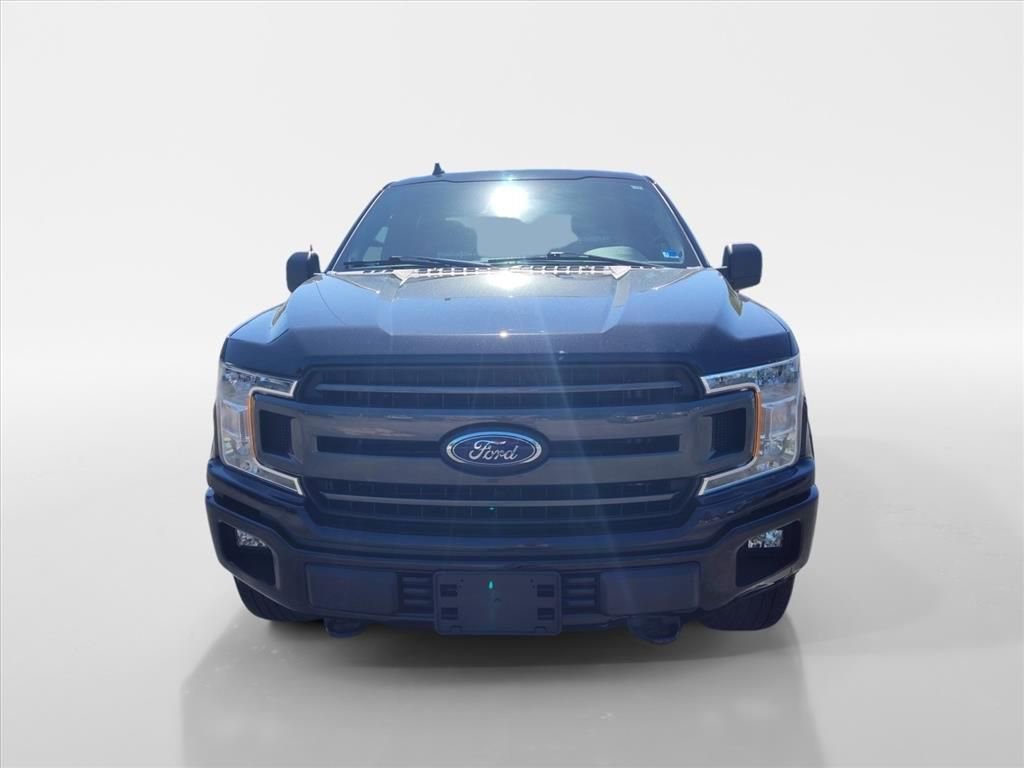Used 2019 Ford F150 XLT w/ Equipment Group 302A Luxury AWD/4WD image 8