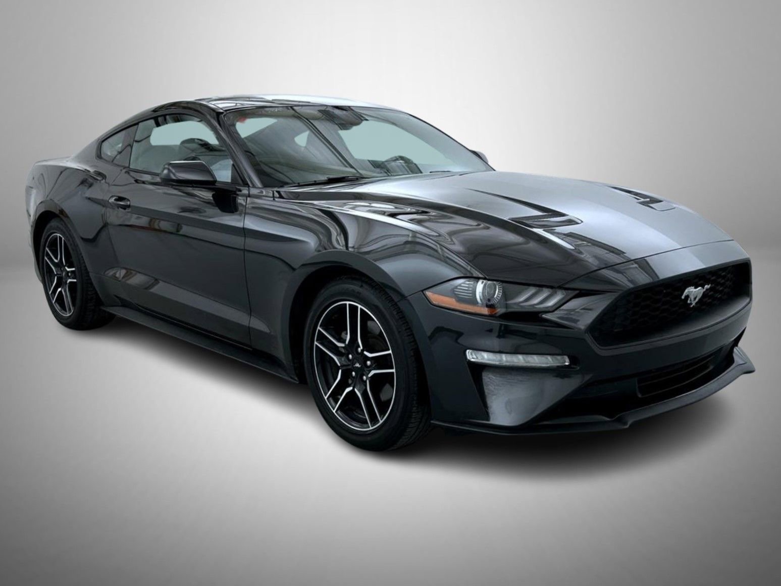 Used 2023 Ford Mustang Coupe w/ Equipment Group 101A image 3