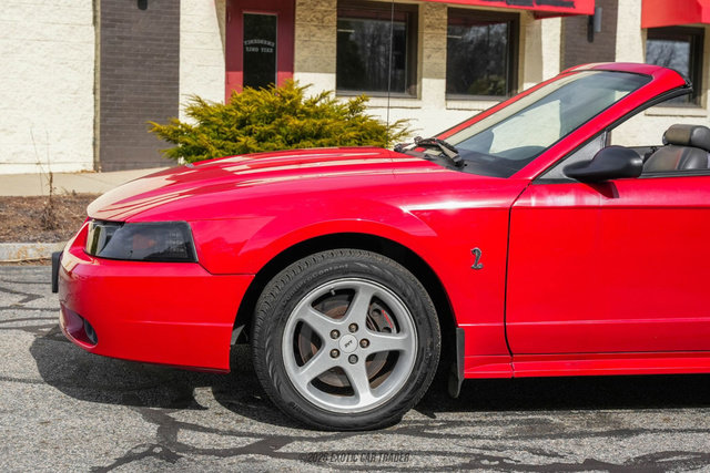Used 1999 Ford Mustang Cobra image 4
