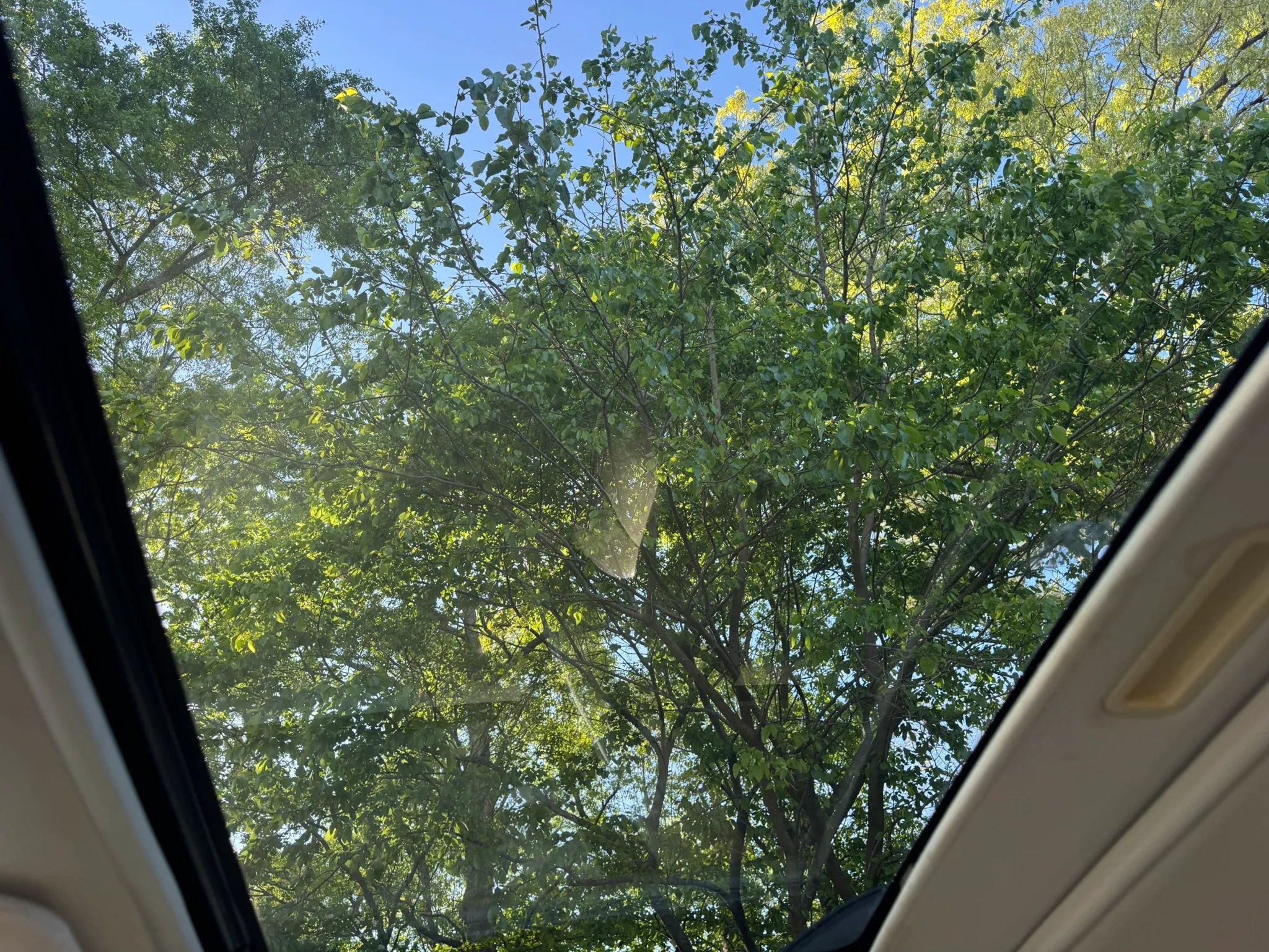 Used 2010 Ford Escape XLT FWD image 10