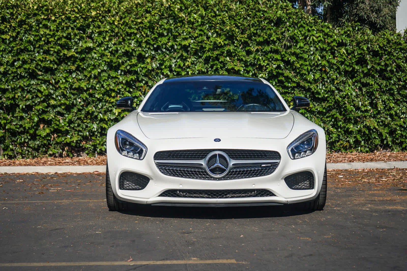 Used 2017 Mercedes-Benz AMG GT Coupe image 2