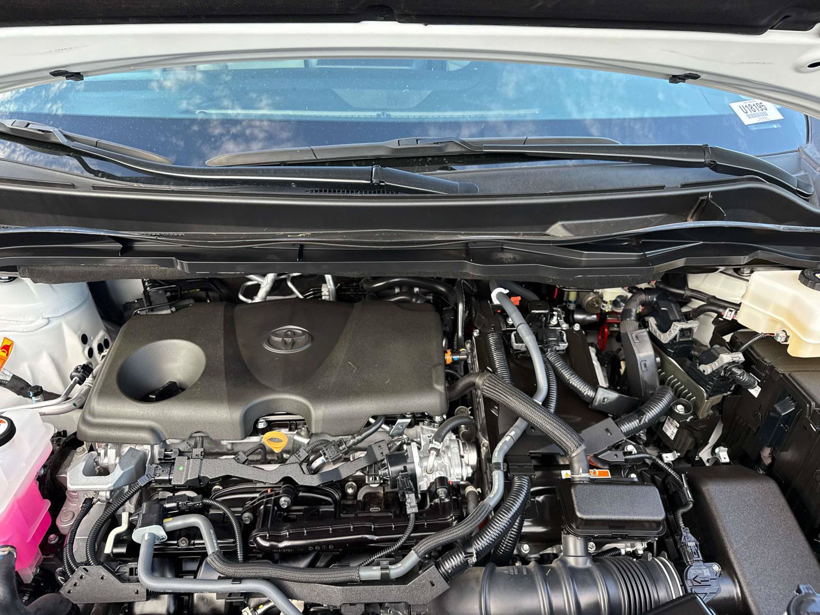 Used 2025 Toyota Sienna XLE FWD image 10