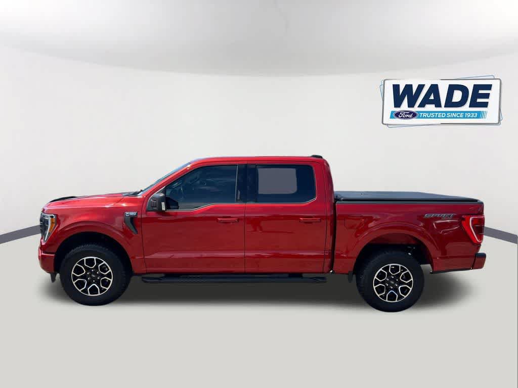 Used 2023 Ford F150 XLT w/ Equipment Group 302A High AWD/4WD image 8