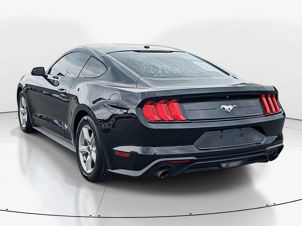 Used 2019 Ford Mustang EcoBoost image 7