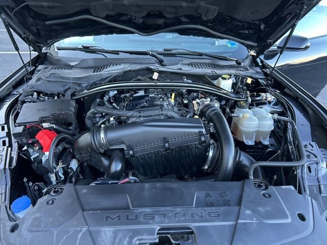 Used 2025 Ford Mustang Premium image 10