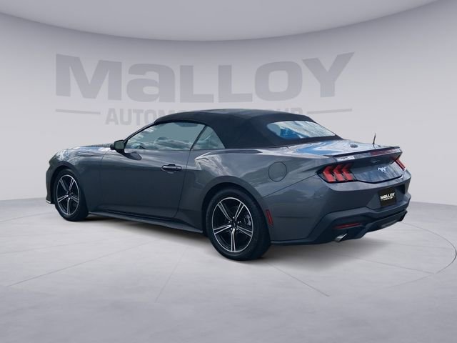 Used 2024 Ford Mustang Premium image 3