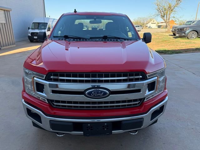 Used 2019 Ford F150 XLT w/ Equipment Group 302A Luxury image 2