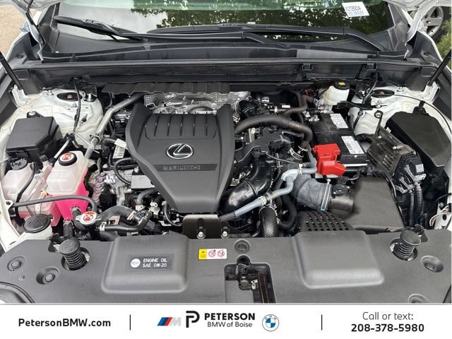 Used 2024 Lexus NX 350 F Sport AWD/4WD image 10