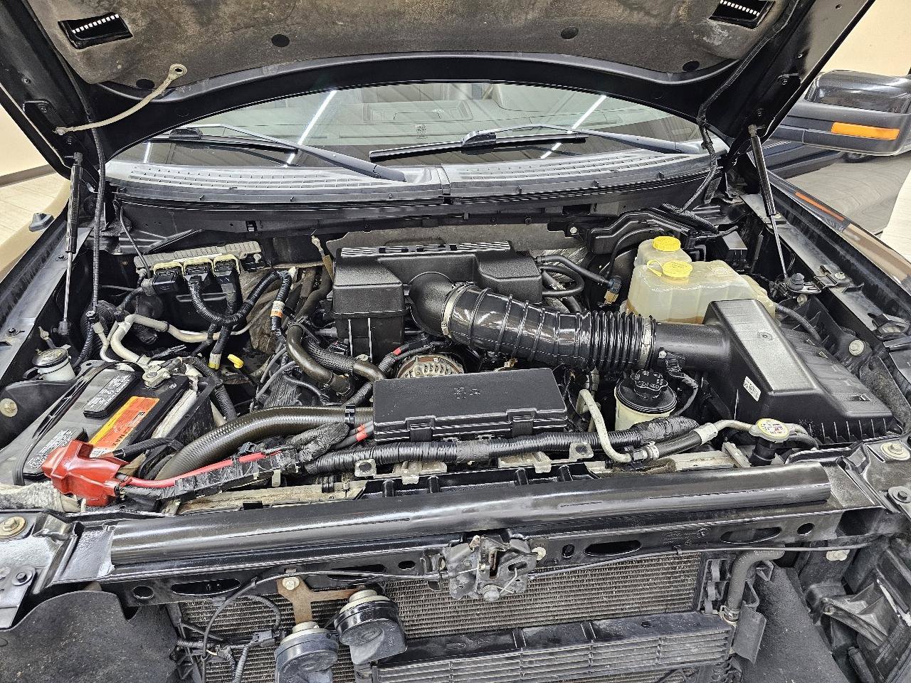 Used 2014 Ford F150 Raptor w/ Equipment Group 801A Luxury image 45