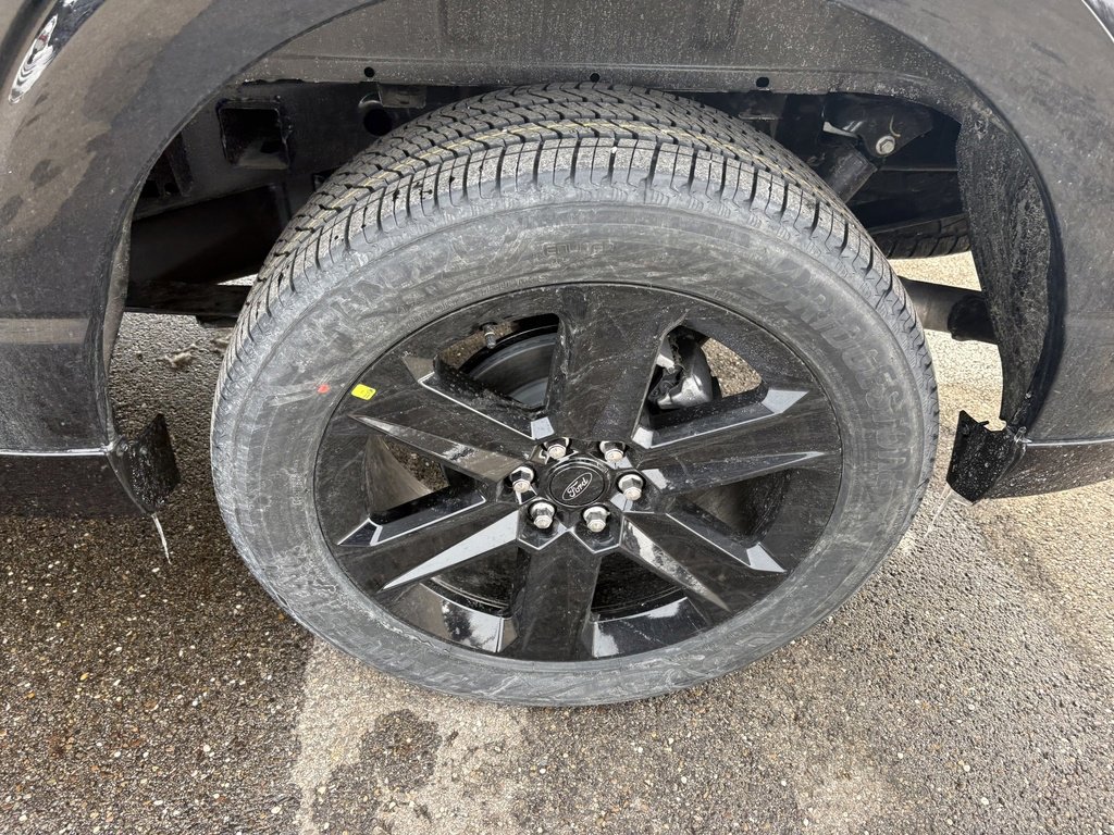 New 2026 Ford F150 STX w/ F-150 LOBO Package image 11
