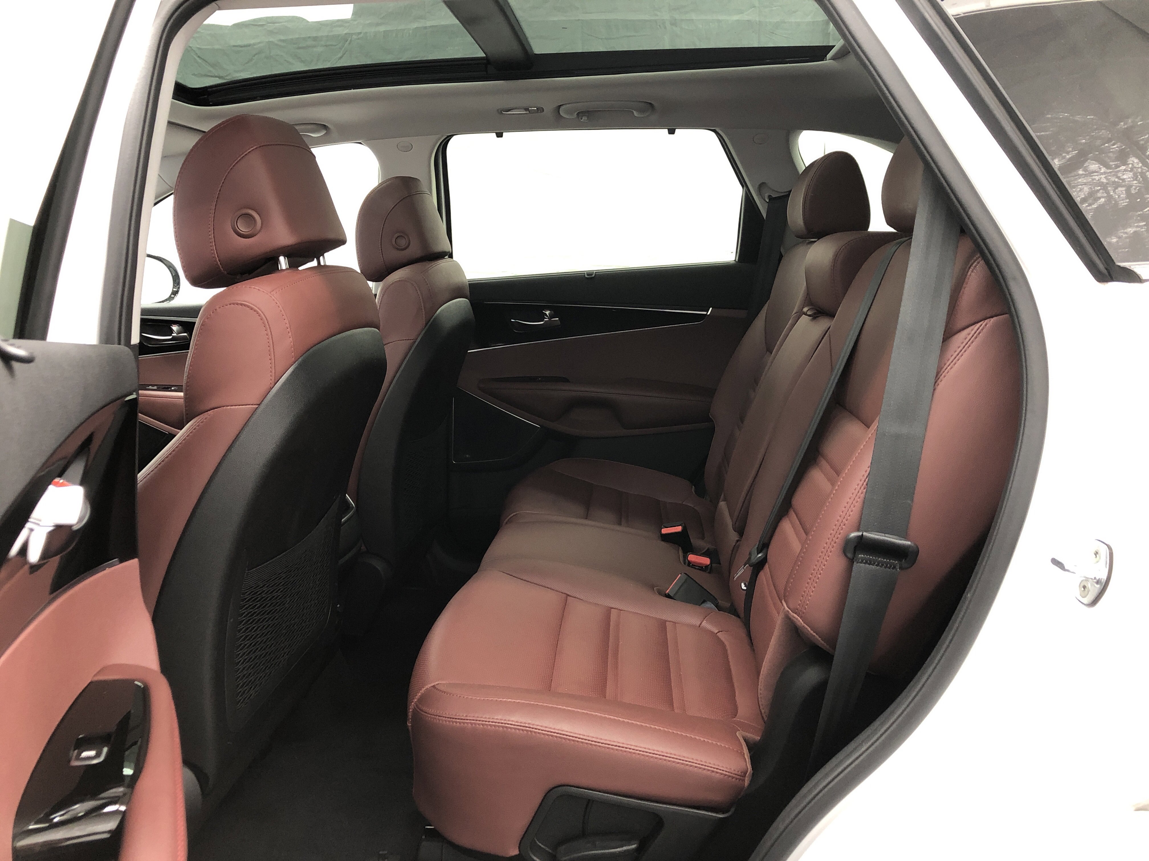 Used 2017 Kia Sorento SX image 13