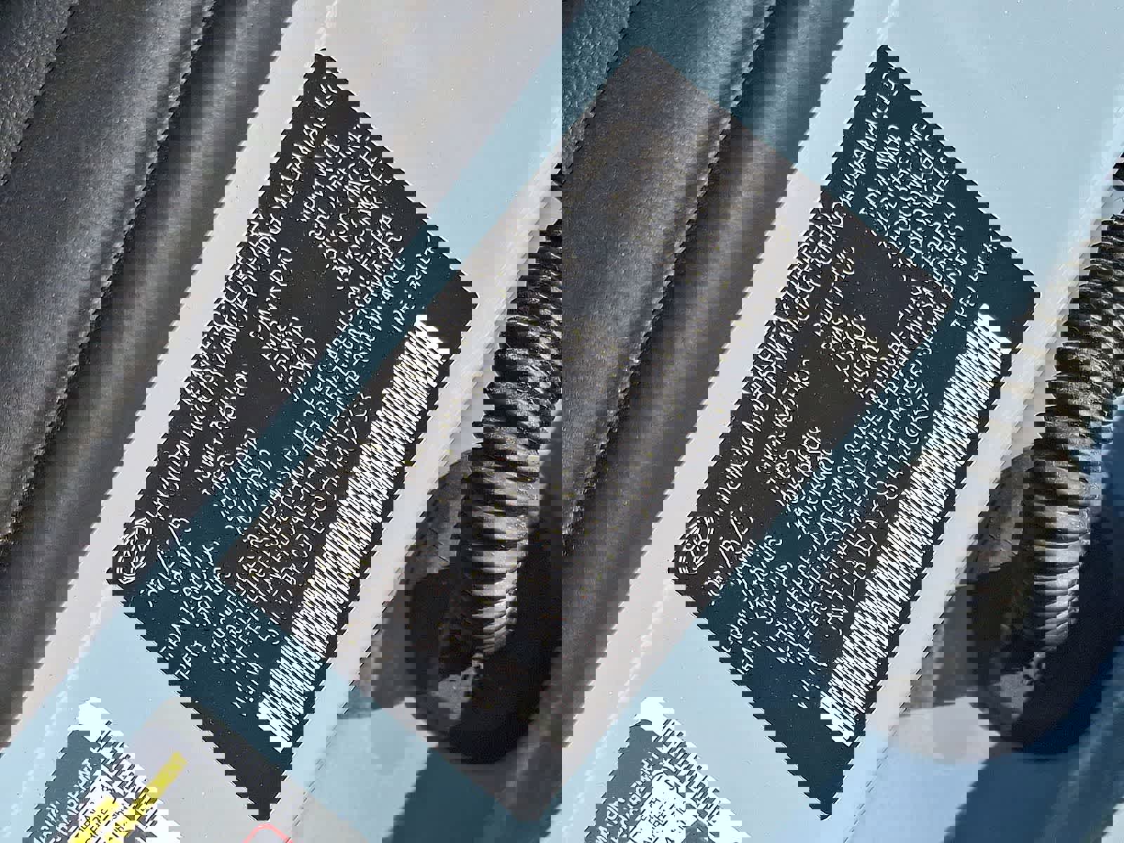 Used 2025 Hyundai Santa Cruz SEL image 38