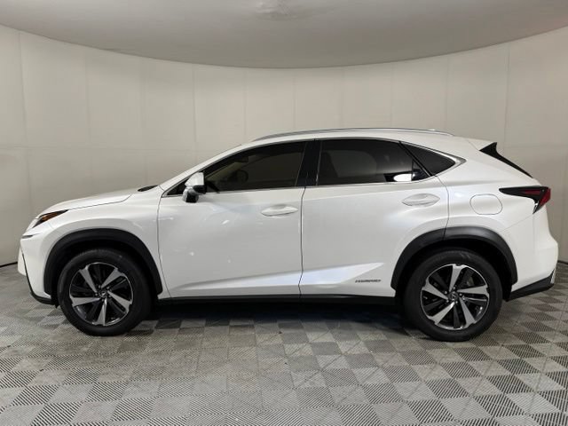 Used 2020 Lexus NX 300h AWD w/ Premium Package image 8