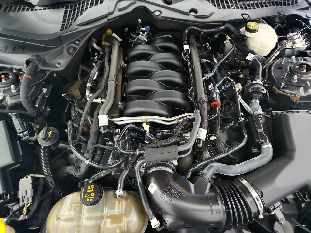 Used 2019 Ford Mustang GT RWD image 29