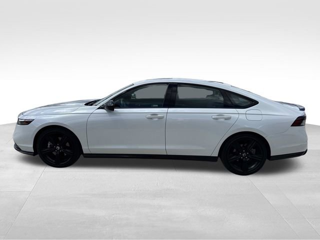 Used 2024 Honda Accord Sport image 5