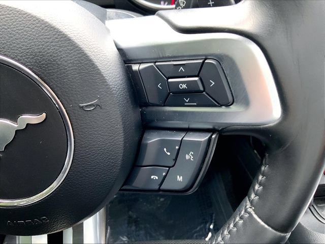 Used 2019 Ford Mustang GT Premium w/ GT Performance Package RWD image 15