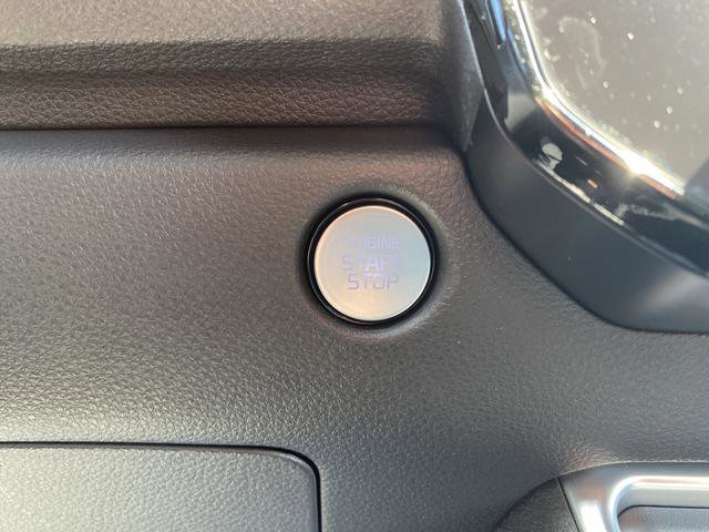 New 2026 Kia Carnival SX Prestige image 34