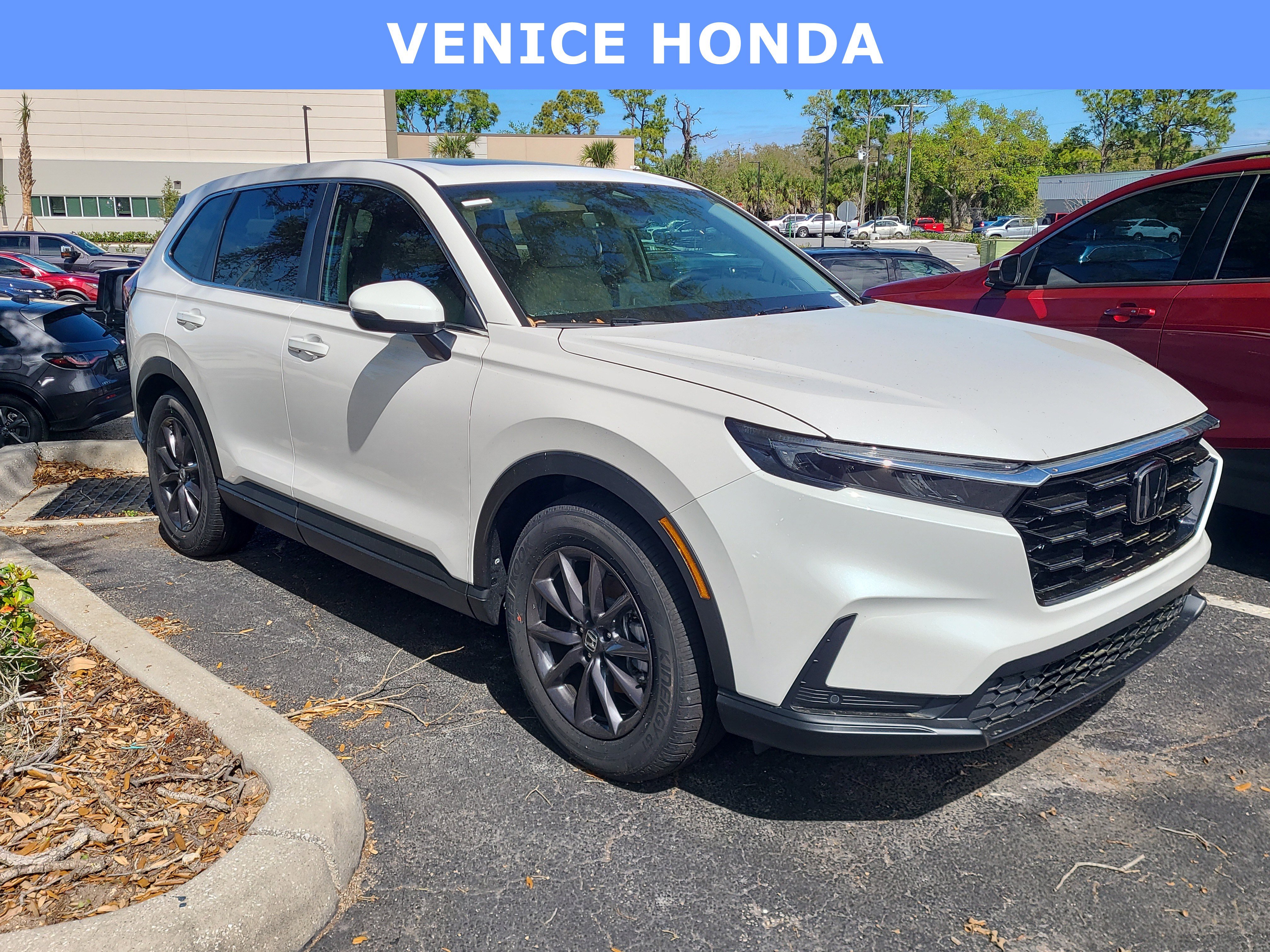 Used 2026 Honda CR-V EX-L image 1