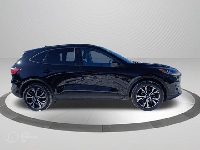 Used 2022 Ford Escape SEL w/ SEL Stealth AWD Package image 3