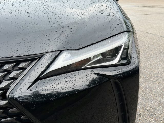 Used 2019 Lexus UX 200 w/ Premium Package FWD image 9