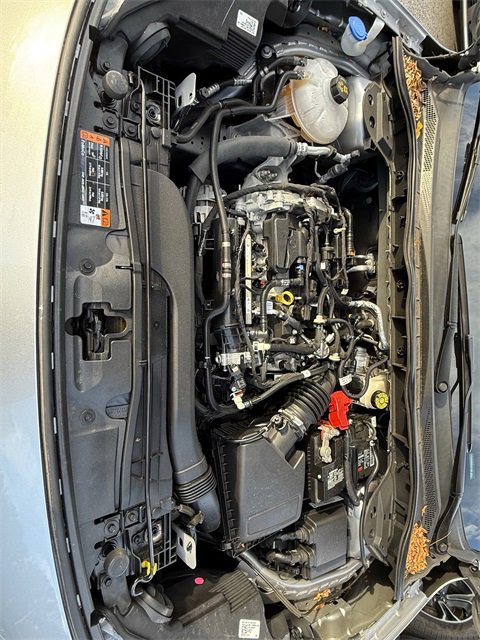 Used 2022 Ford Escape SEL image 22