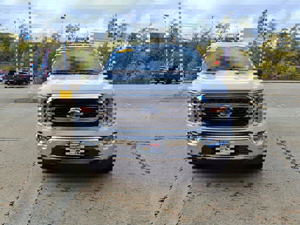 Used 2023 Ford F150 XLT w/ Equipment Group 301A Mid image 3