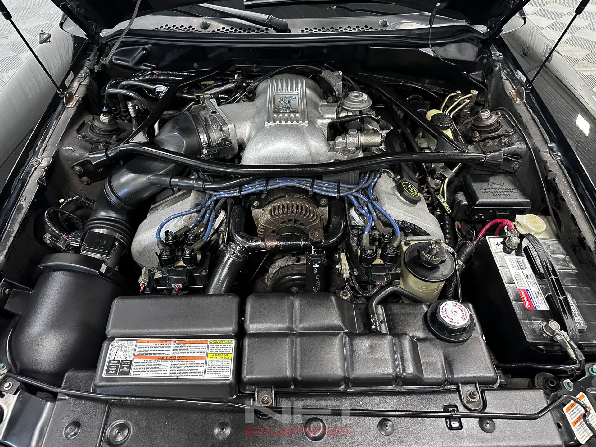 Used 1996 Ford Mustang Cobra RWD image 42