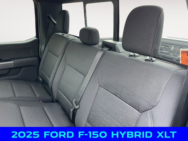 New 2025 Ford F150 XLT w/ Equipment Group 302A MID image 13